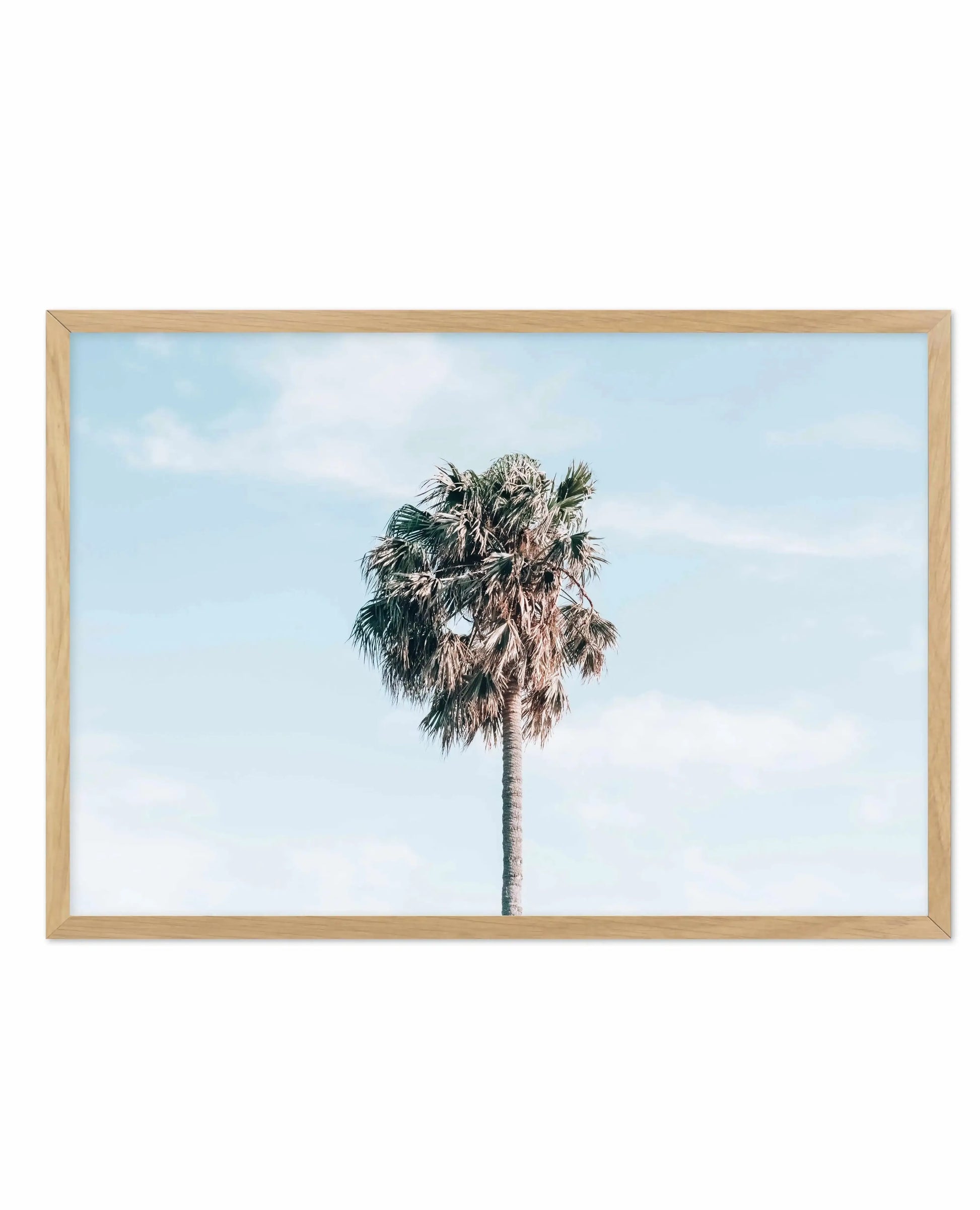 Gerringong Palm | LS Art Print-PRINT-Olive et Oriel-Olive et Oriel-A4 | 8.3" x 11.7" | 21 x 29.7cm-Oak-With White Border-Buy-Australian-Art-Prints-Online-with-Olive-et-Oriel-Your-Artwork-Specialists-Austrailia-Decorate-With-Coastal-Photo-Wall-Art-Prints-From-Our-Beach-House-Artwork-Collection-Fine-Poster-and-Framed-Artwork