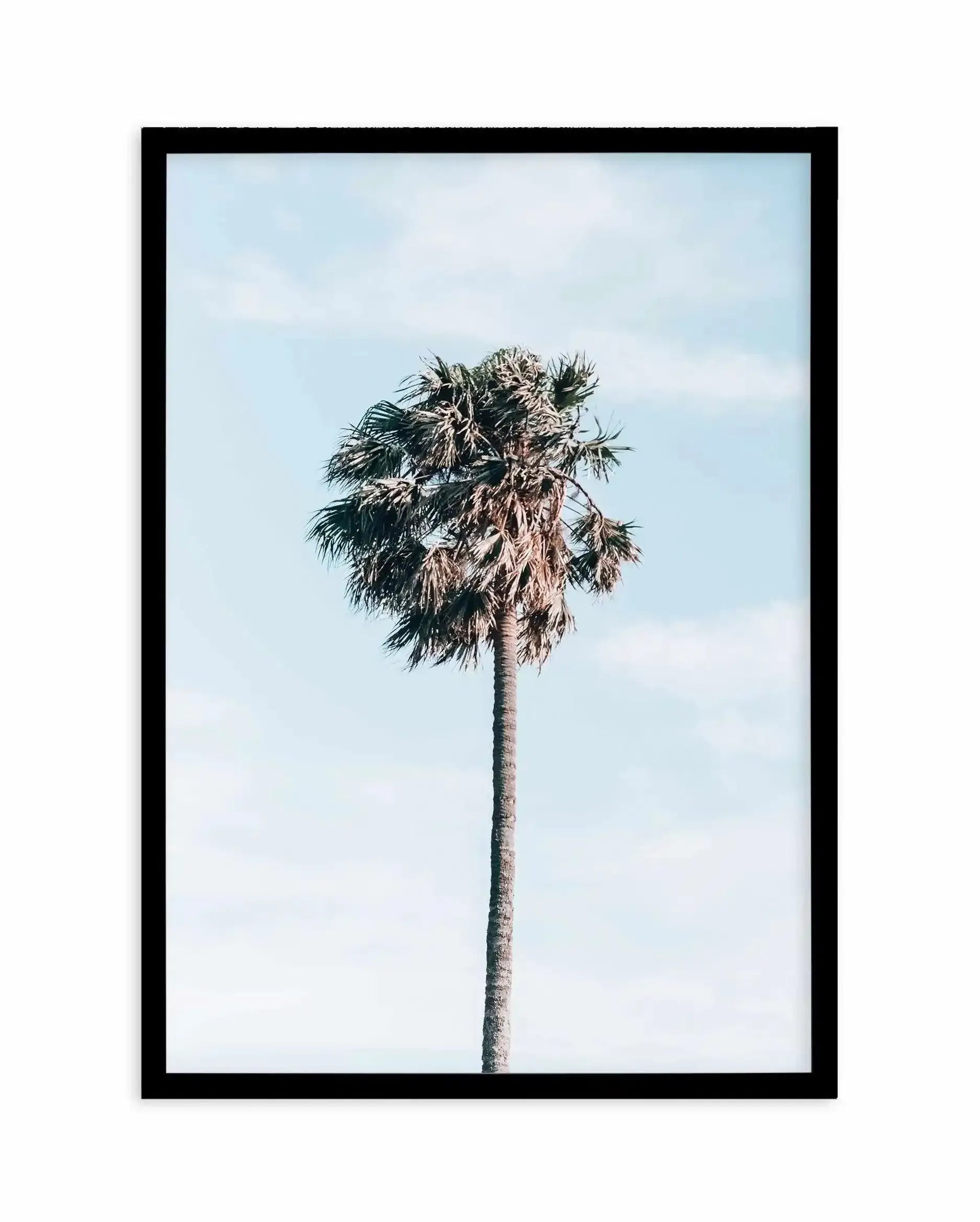 Gerringong Palm | PT Art Print-PRINT-Olive et Oriel-Olive et Oriel-A4 | 8.3" x 11.7" | 21 x 29.7cm-Black-With White Border-Buy-Australian-Art-Prints-Online-with-Olive-et-Oriel-Your-Artwork-Specialists-Austrailia-Decorate-With-Coastal-Photo-Wall-Art-Prints-From-Our-Beach-House-Artwork-Collection-Fine-Poster-and-Framed-Artwork