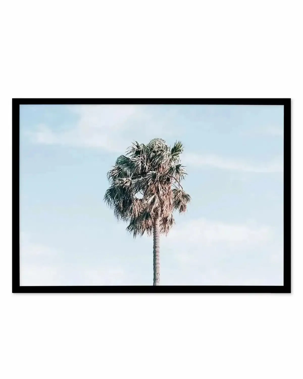 Gerringong Palm | LS Art Print from Olive et Oriel where you can shop wallpaper and artworks online