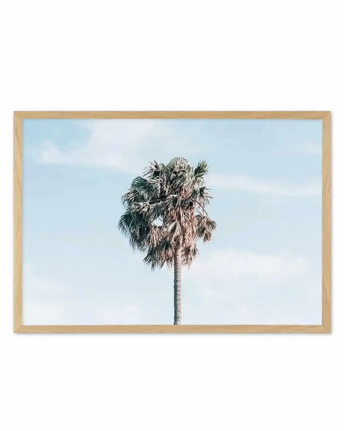 Gerringong Palm | LS Art Print from Olive et Oriel where you can shop wallpaper and artworks online