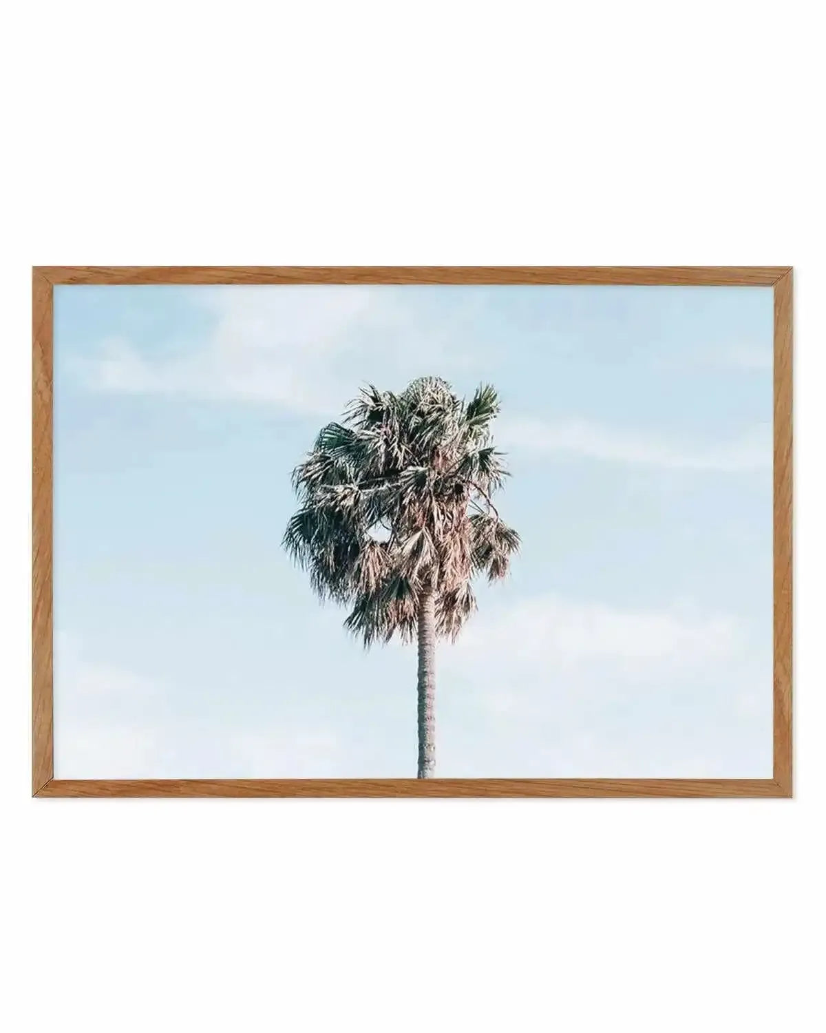 Gerringong Palm | LS Art Print from Olive et Oriel where you can shop wallpaper and artworks online