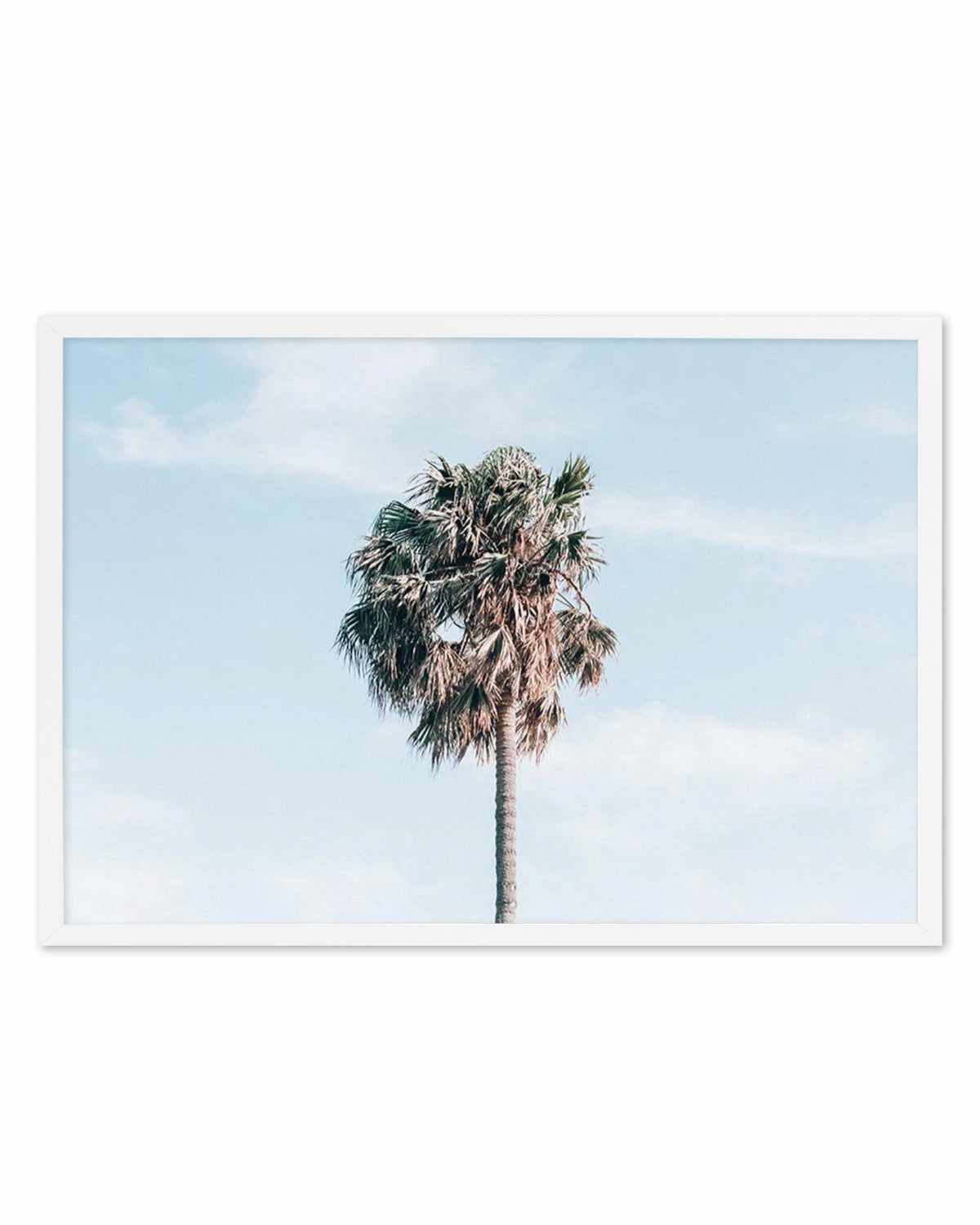 Gerringong Palm | LS Art Print