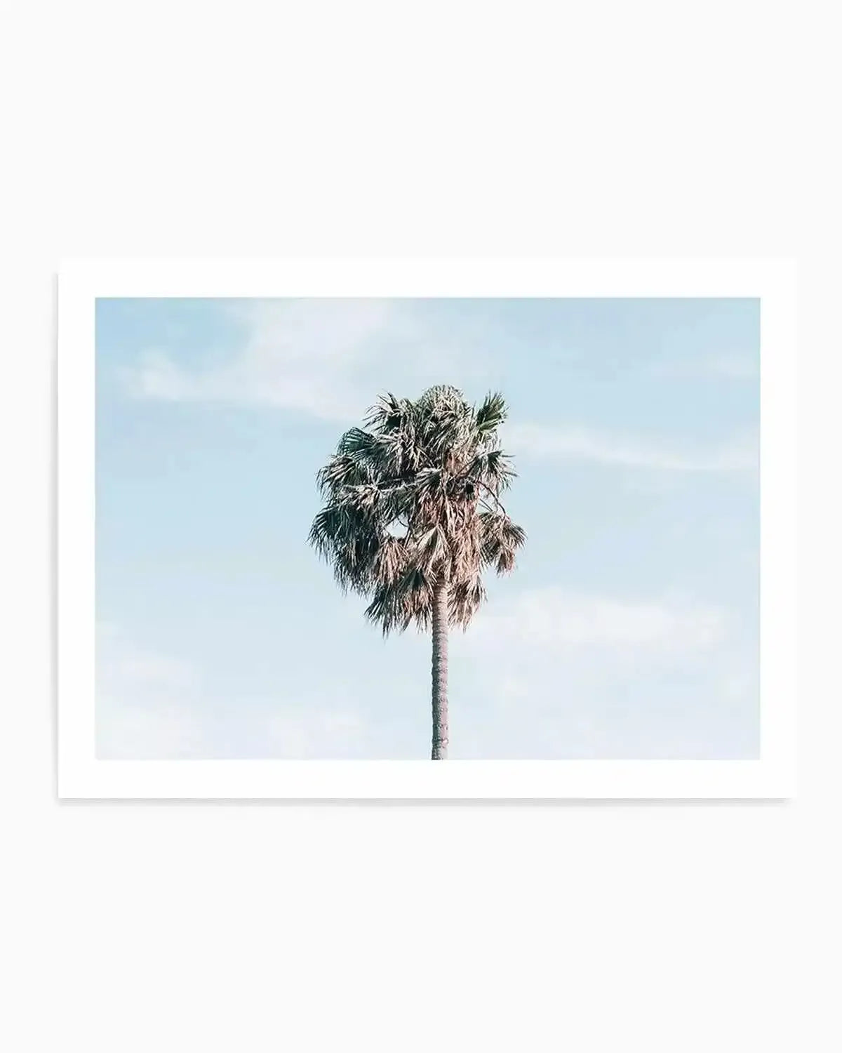 Gerringong Palm | LS Art Print from Olive et Oriel where you can shop wallpaper and artworks online