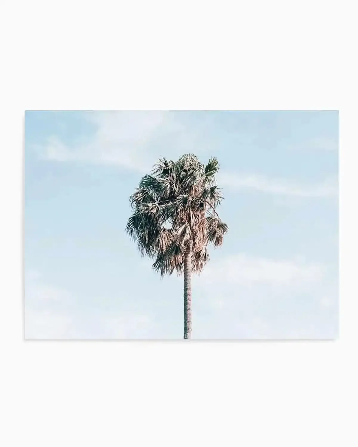 Gerringong Palm | LS Art Print from Olive et Oriel where you can shop wallpaper and artworks online