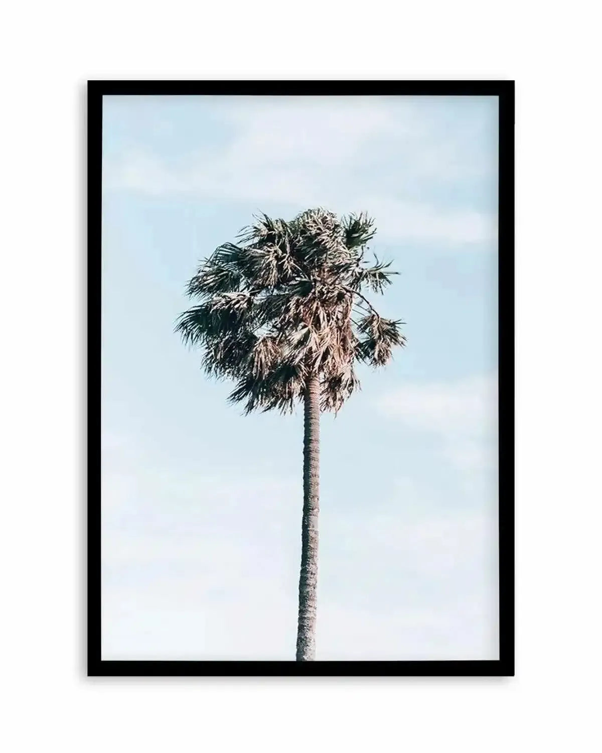 Gerringong Palm | PT Art Print from Olive et Oriel where you can shop wallpaper and artworks online