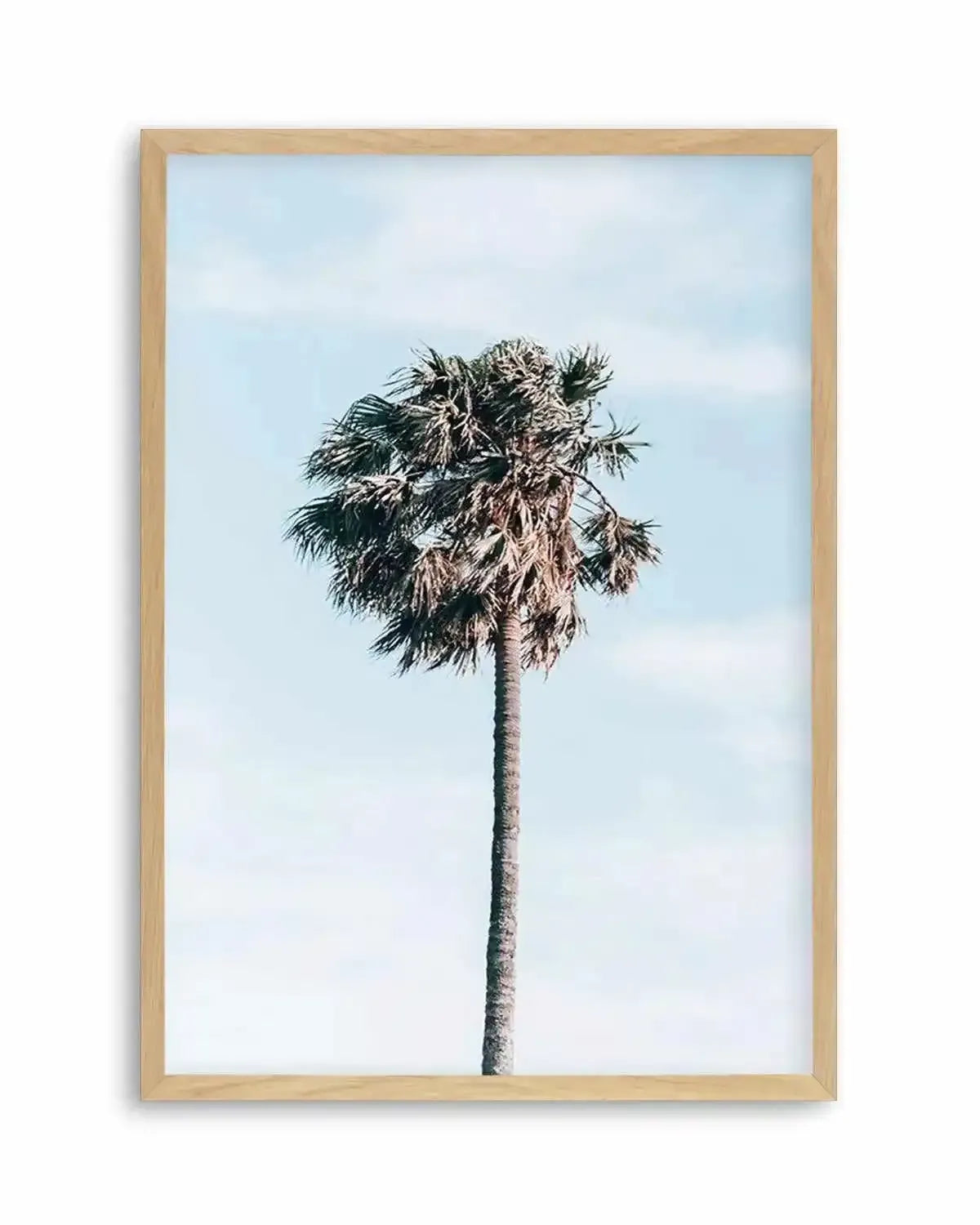 Gerringong Palm | PT Art Print from Olive et Oriel where you can shop wallpaper and artworks online