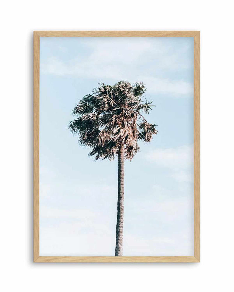 Gerringong Palm | PT Art Print