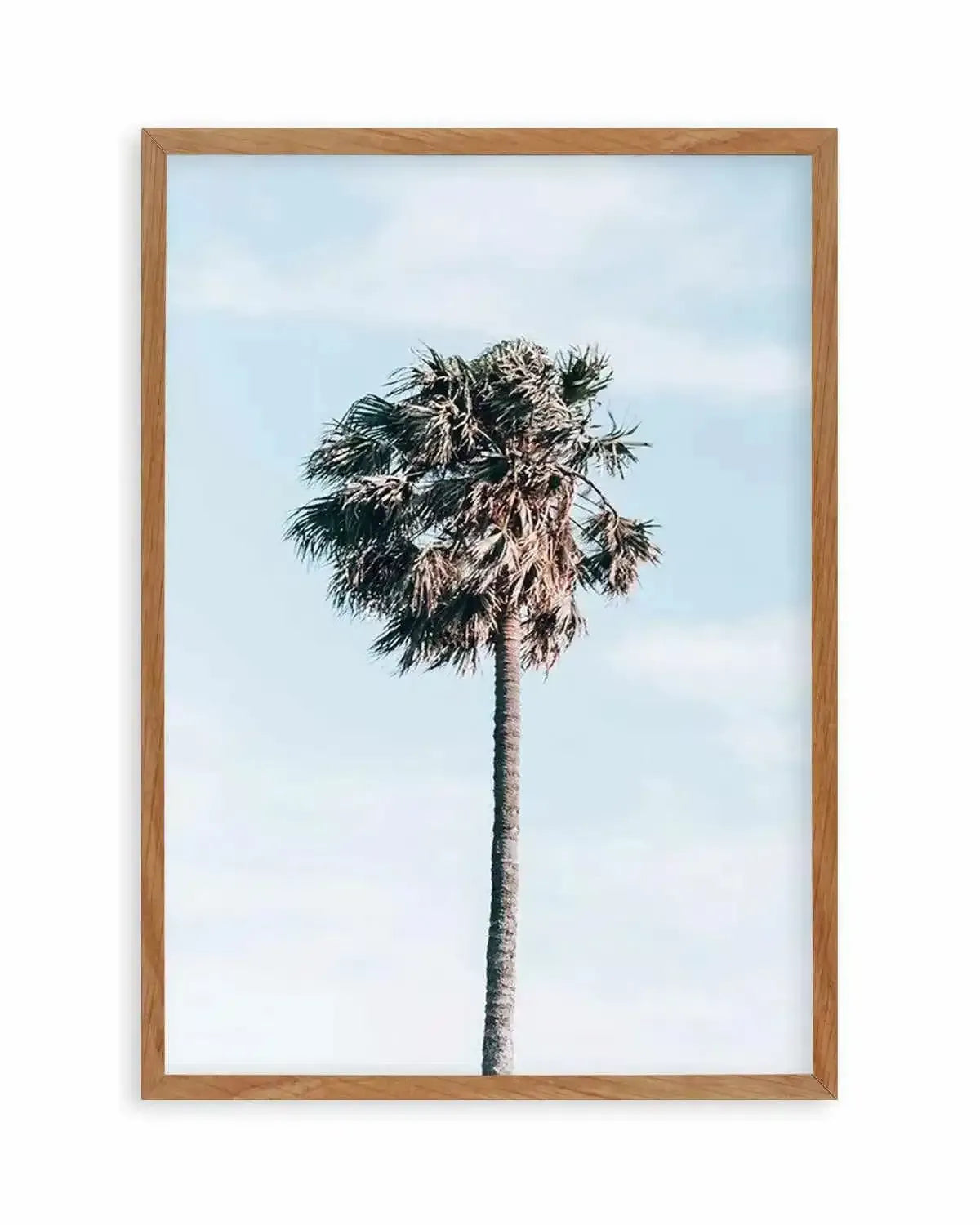 Gerringong Palm | PT Art Print from Olive et Oriel where you can shop wallpaper and artworks online