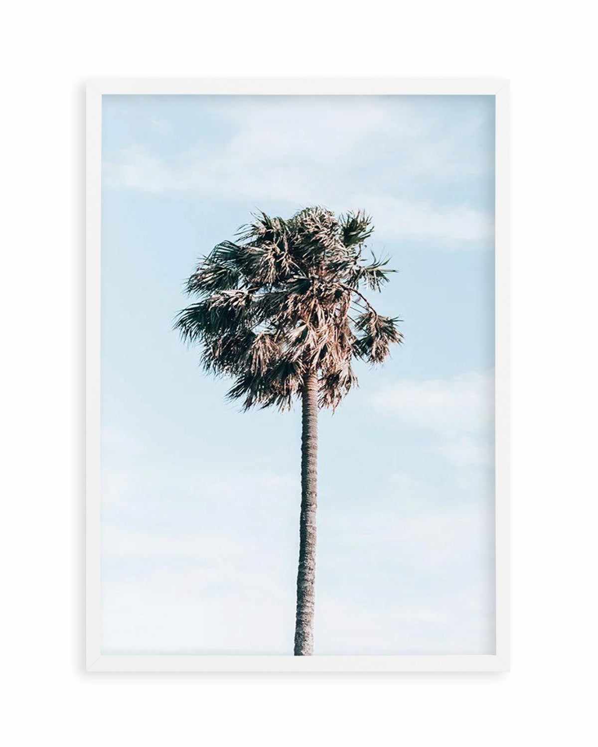 Gerringong Palm | PT Art Print