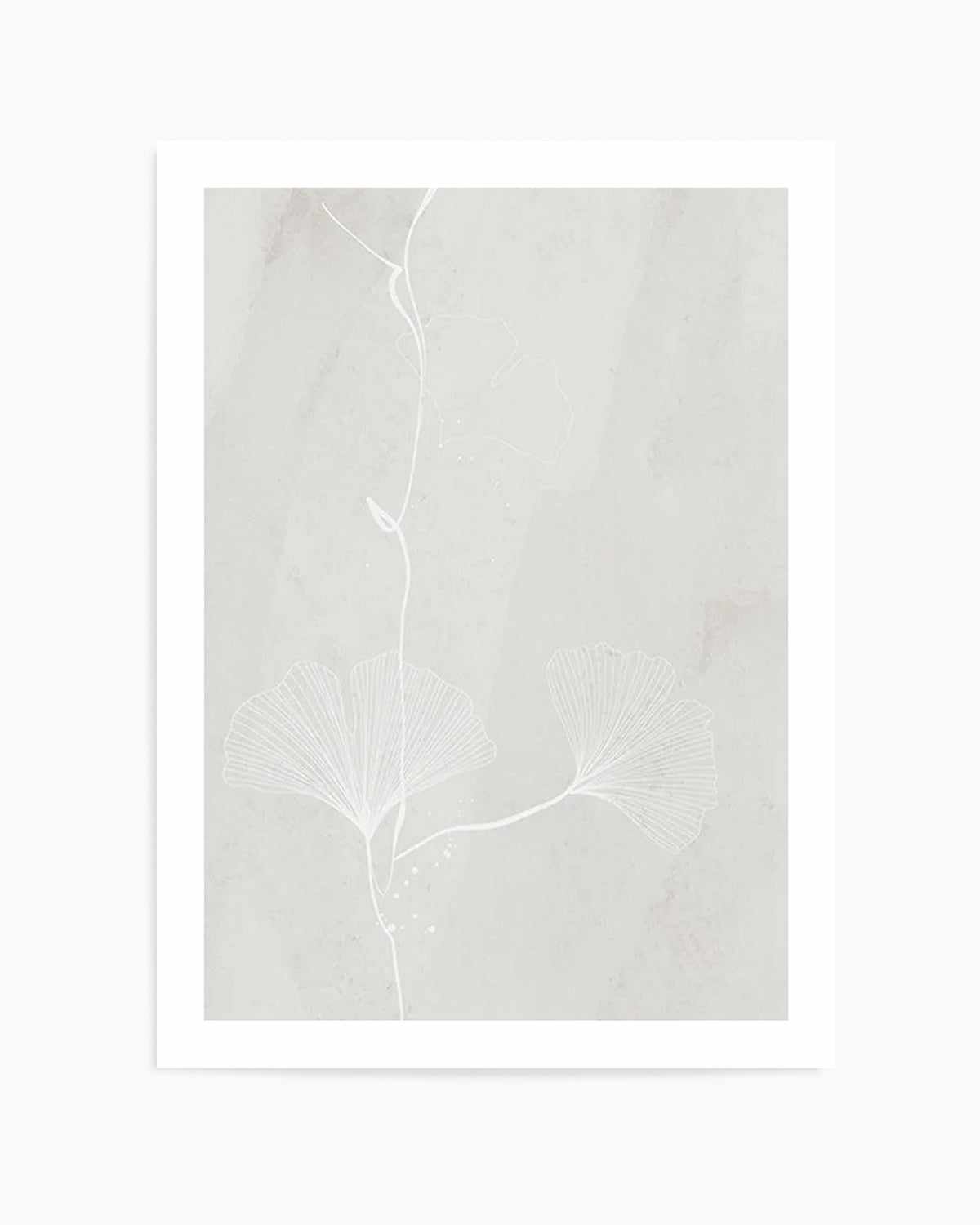 Ginkgo II Art Print