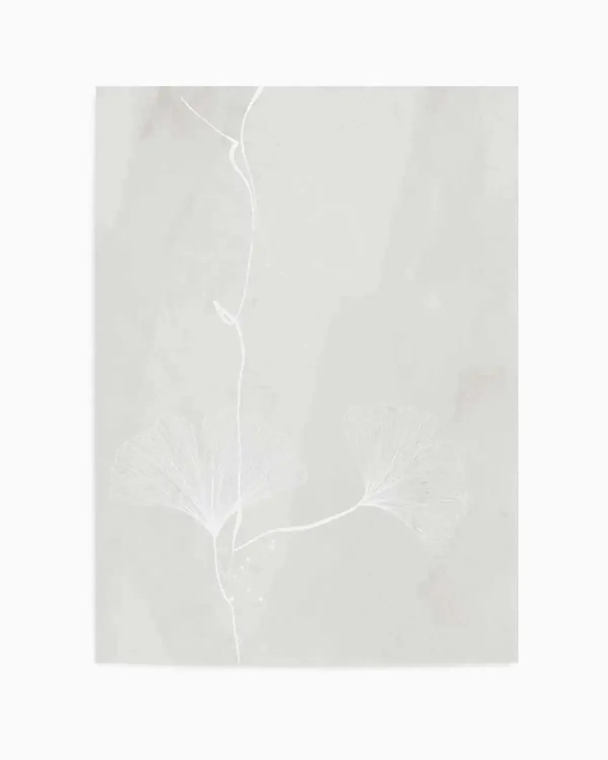 Ginkgo II Art Print from Olive et Oriel where you can shop wallpaper and artworks online