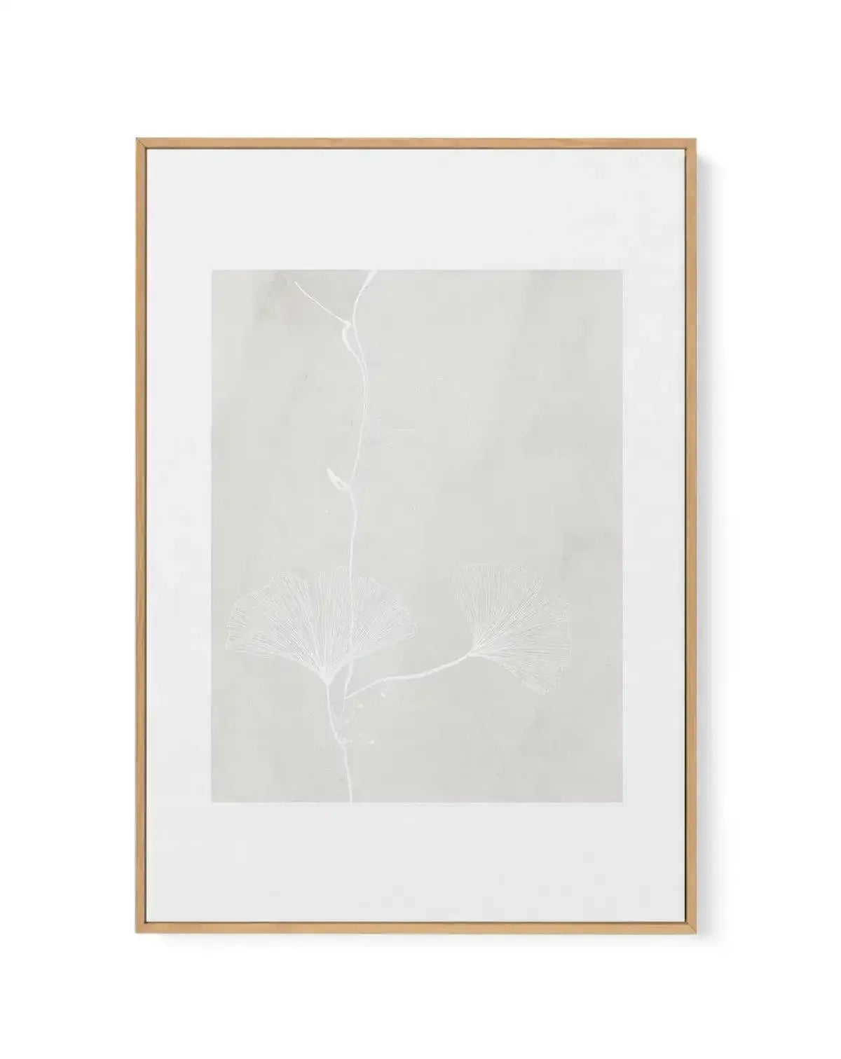 Ginkgo II | Framed Canvas-CANVAS-You can shop wall art online with Olive et Oriel for everything from abstract art to fun kids wall art. Our beautiful modern art prints and canvas art are available from large canvas prints to wall art paintings and our proudly Australian artwork collection offers only the highest quality framed large wall art and canvas art Australia - You can buy fashion photography prints or Hampton print posters and paintings on canvas from Olive et Oriel and have them delive