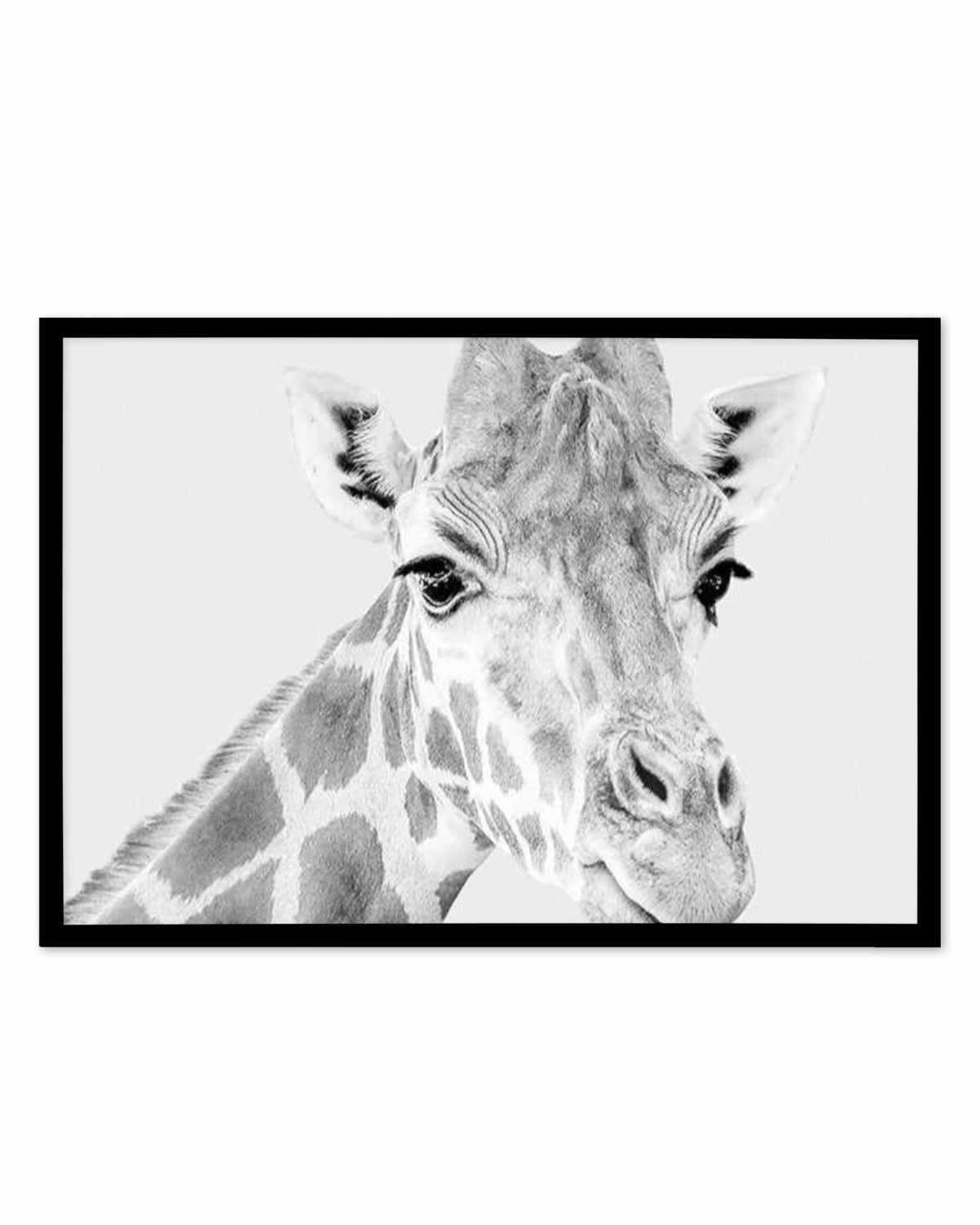 Giraffe B&W | LS Art Print