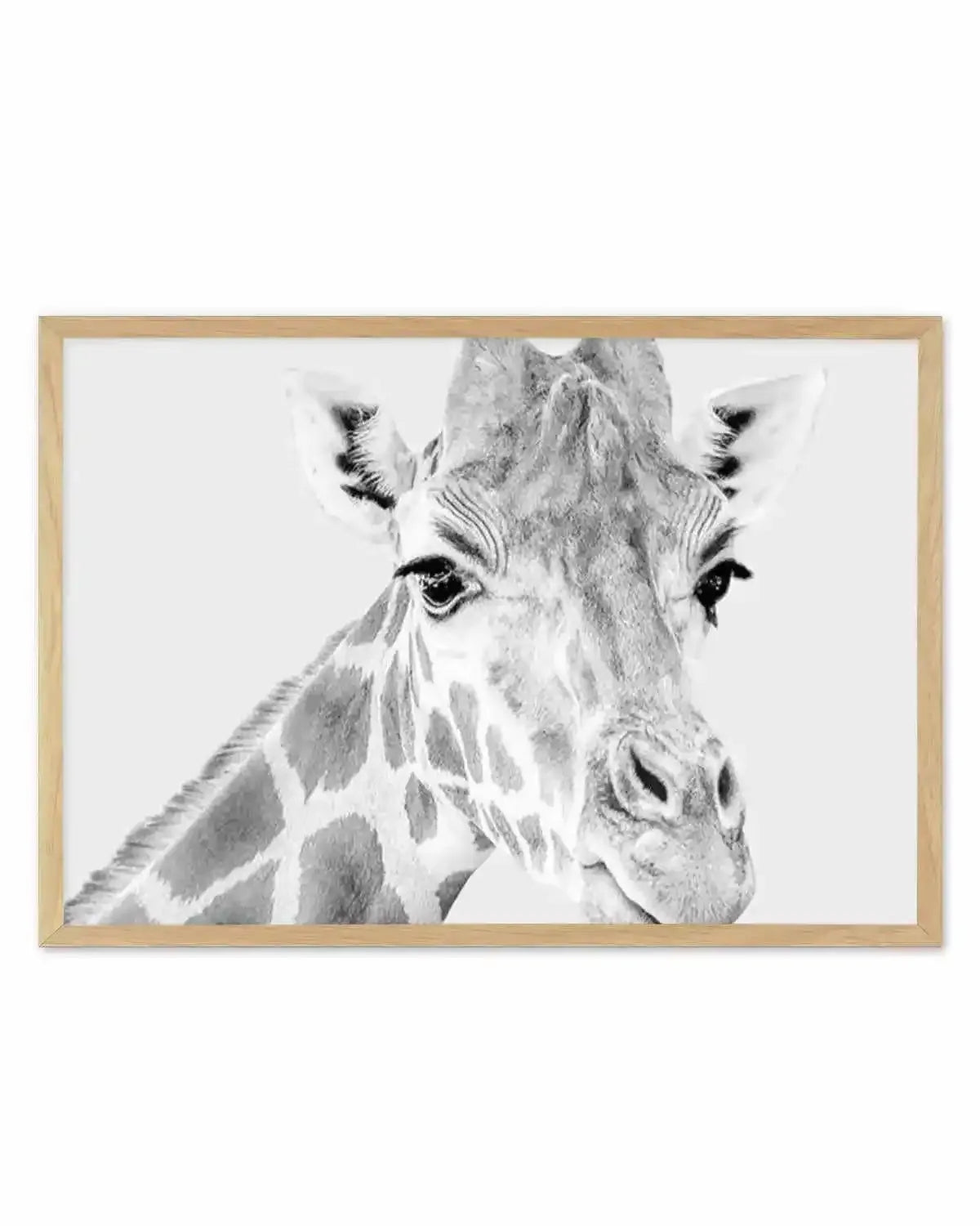Giraffe B&W | LS Art Print from Olive et Oriel where you can shop wallpaper and artworks online