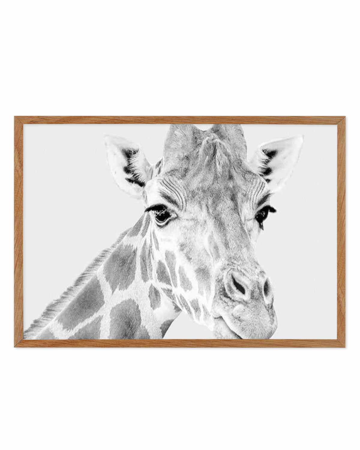 Giraffe B&W | LS Art Print