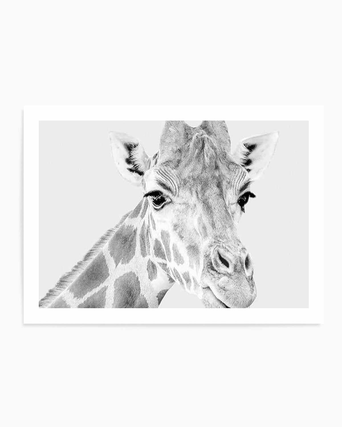 Giraffe B&W | LS Art Print