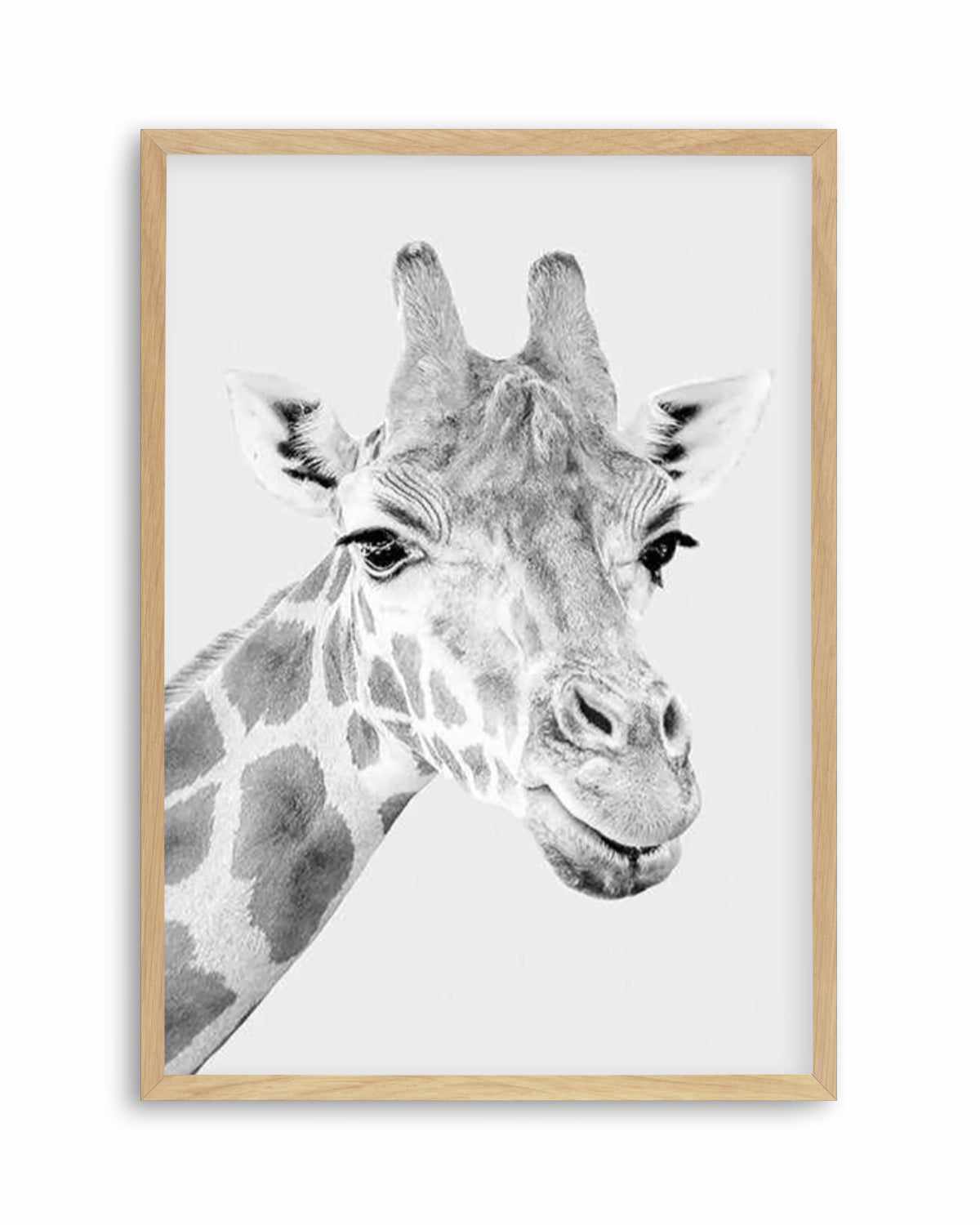 Giraffe B&W | PT Art Print