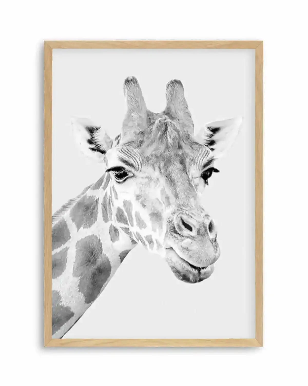 Giraffe B&W | PT Art Print from Olive et Oriel where you can shop wallpaper and artworks online