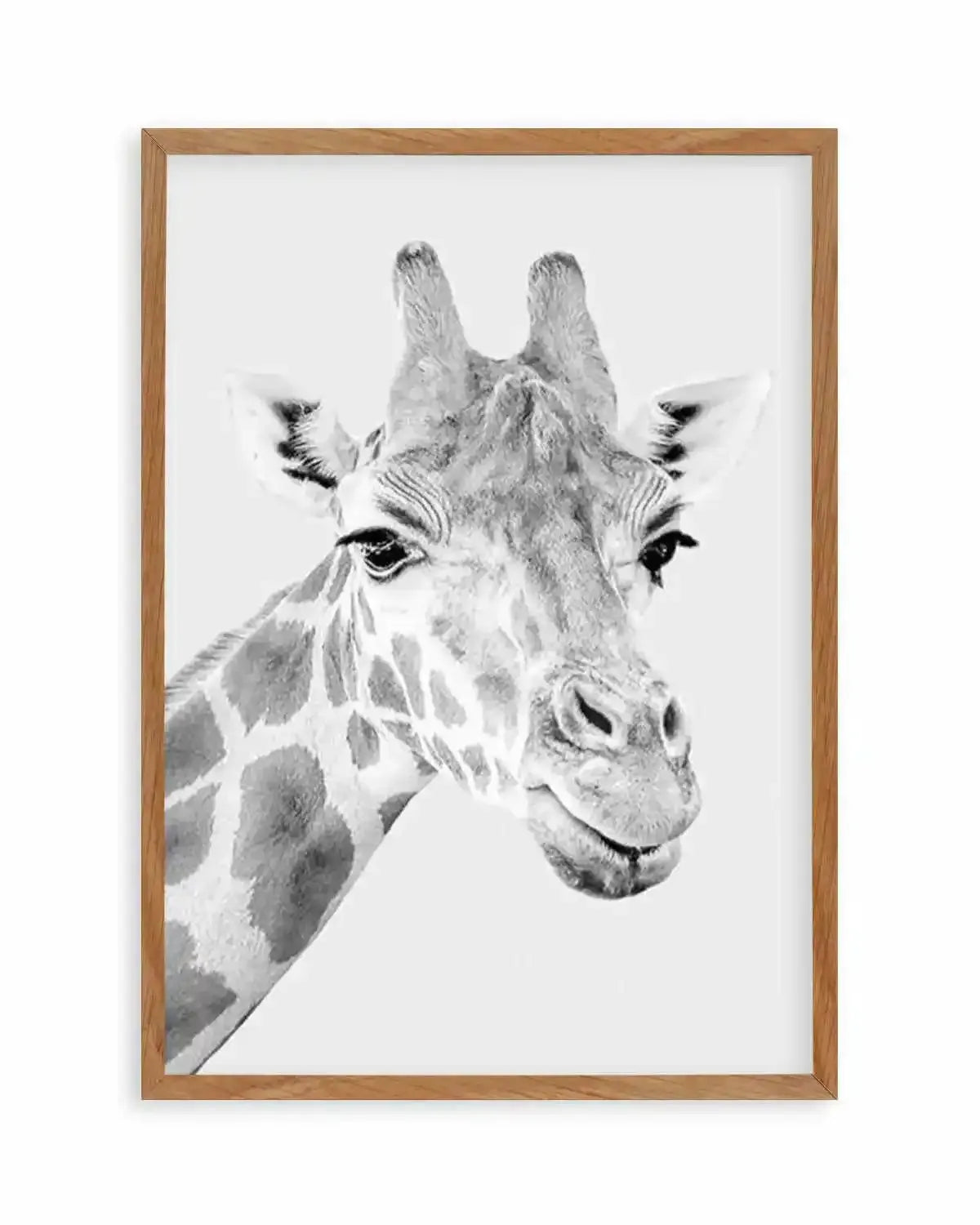 Giraffe B&W | PT Art Print from Olive et Oriel where you can shop wallpaper and artworks online