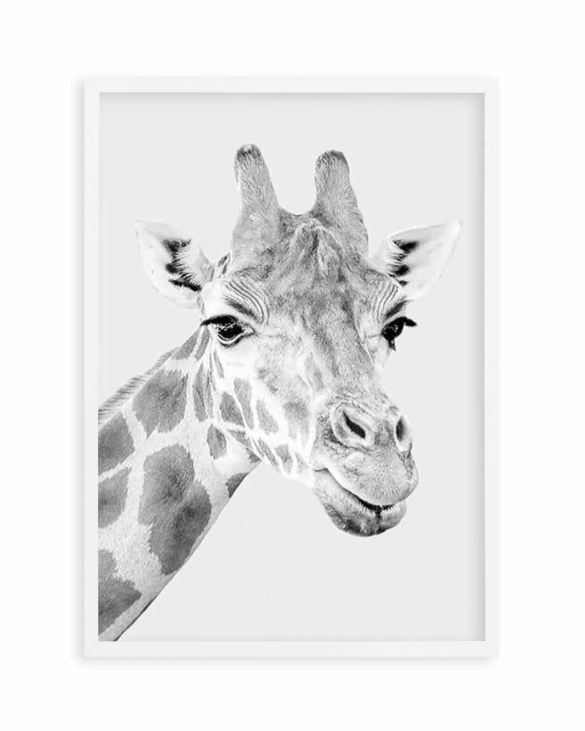 Giraffe B&W | PT Art Print