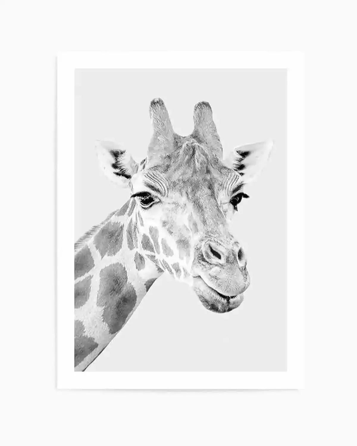 Giraffe B&W | PT Art Print from Olive et Oriel where you can shop wallpaper and artworks online