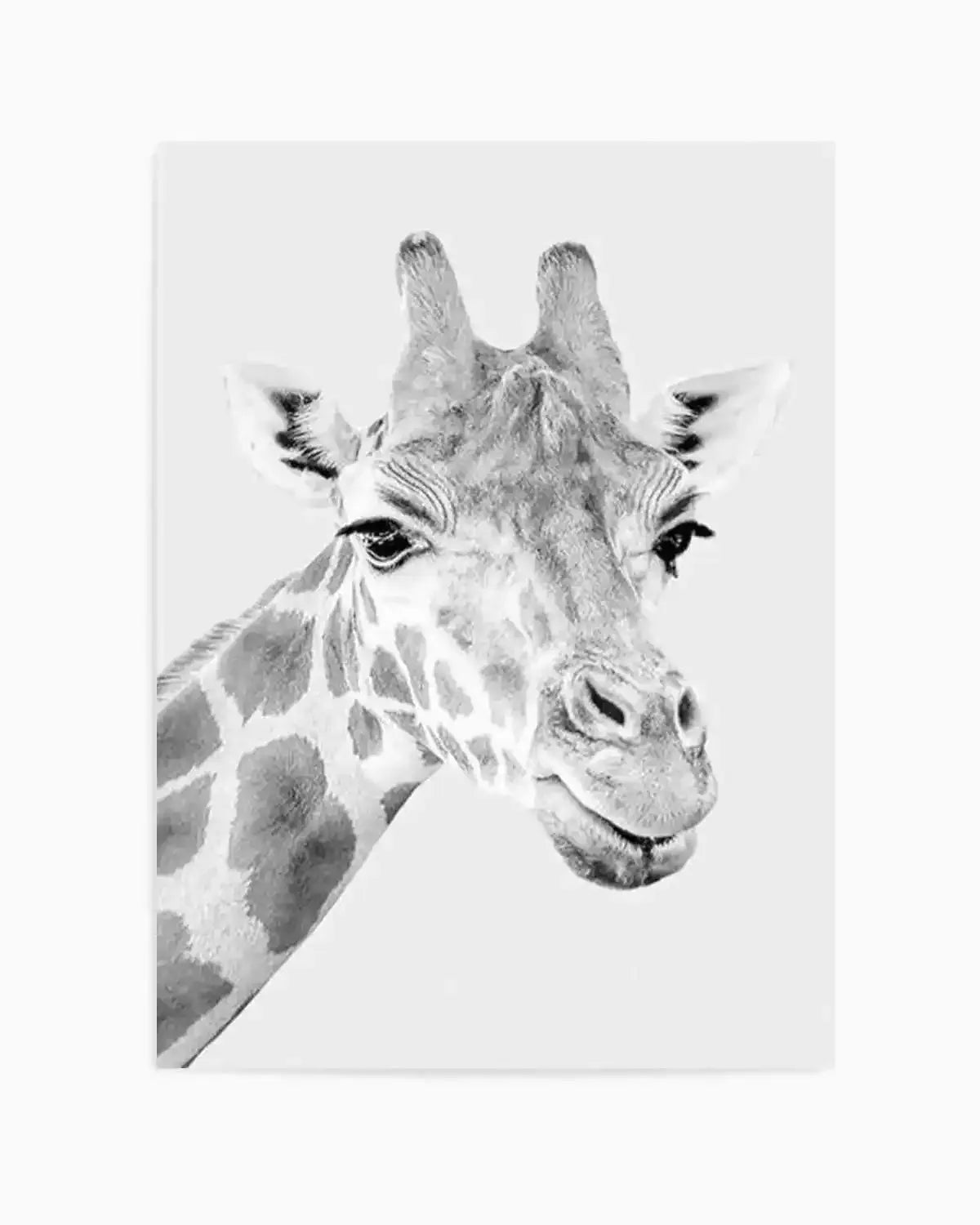 Giraffe B&W | PT Art Print from Olive et Oriel where you can shop wallpaper and artworks online