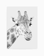 Giraffe B&W | PT Art Print