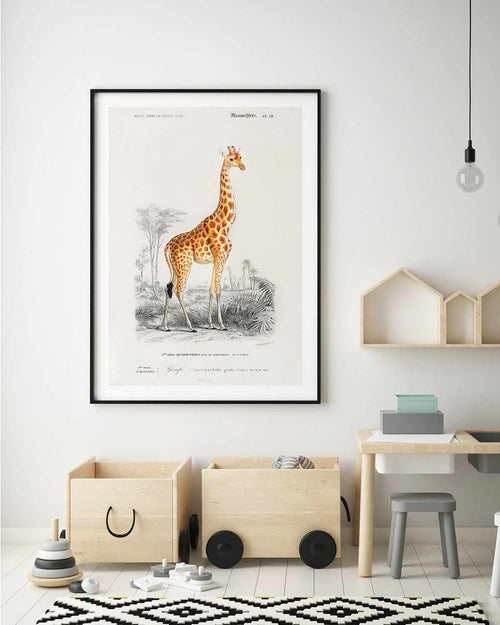 Giraffe Vintage Illustration Art Print