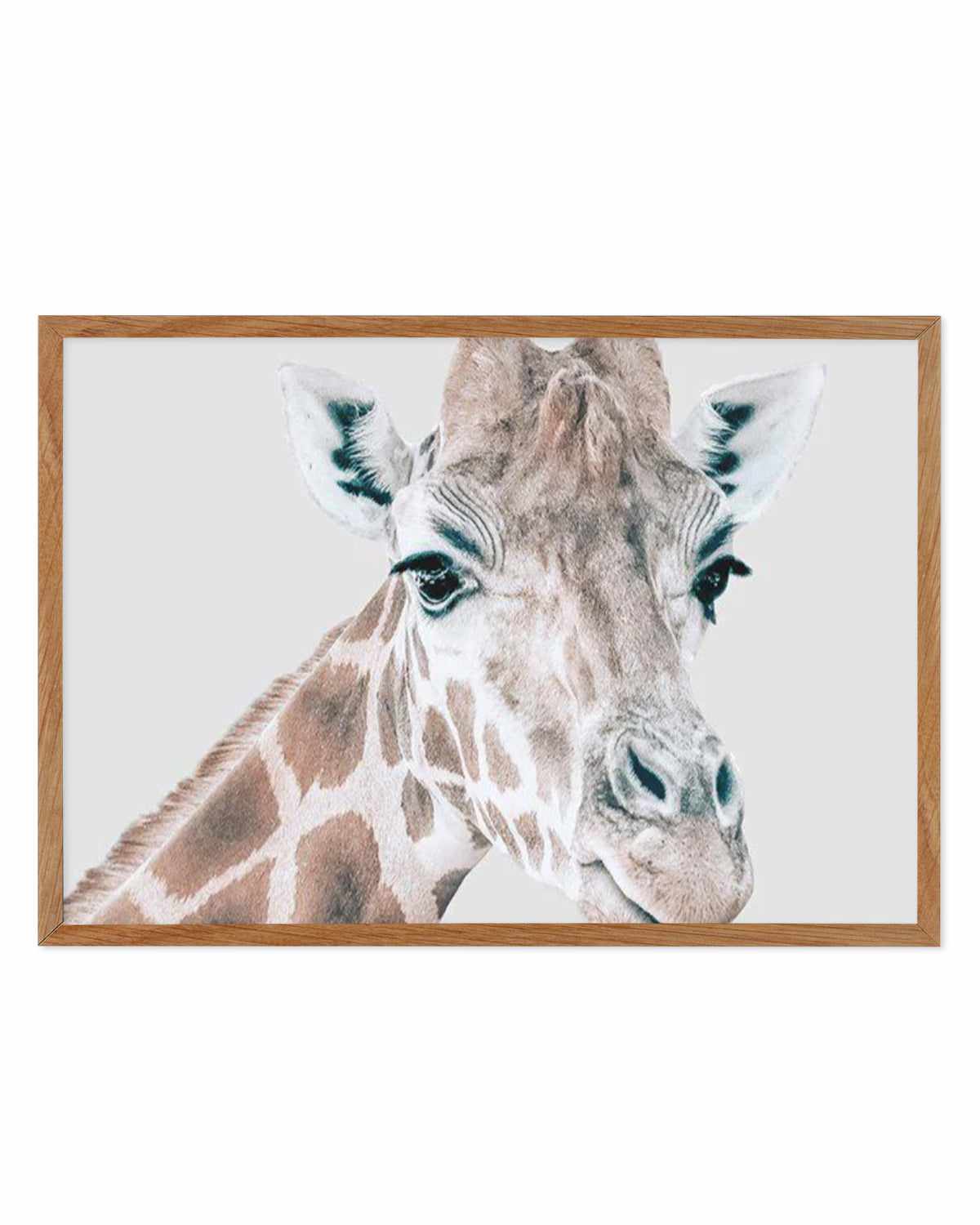 Giraffe | LS Art Print