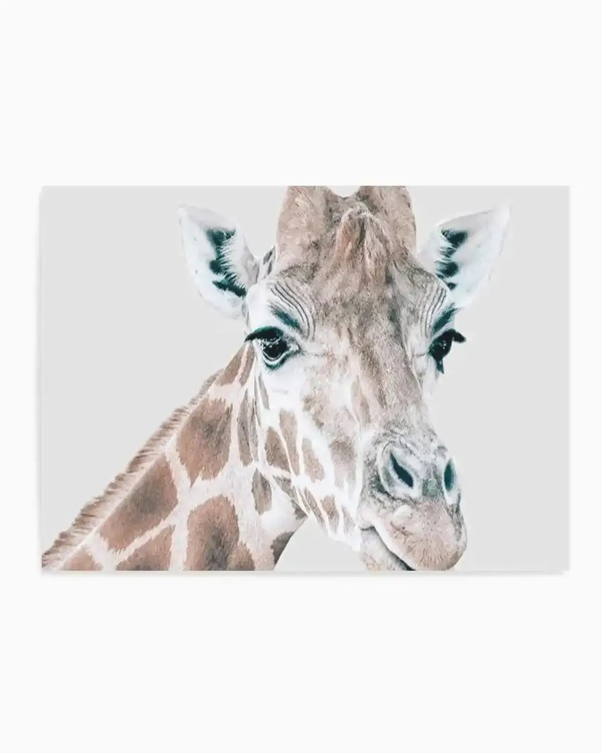 Giraffe | LS Art Print from Olive et Oriel where you can shop wallpaper and artworks online
