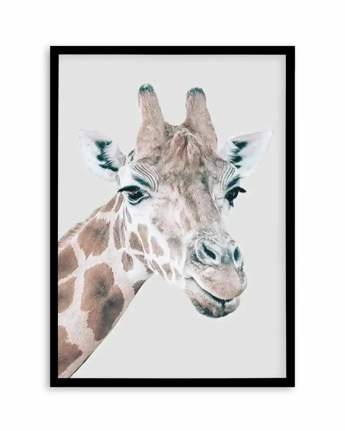 Giraffe | PT Art Print from Olive et Oriel where you can shop wallpaper and artworks online