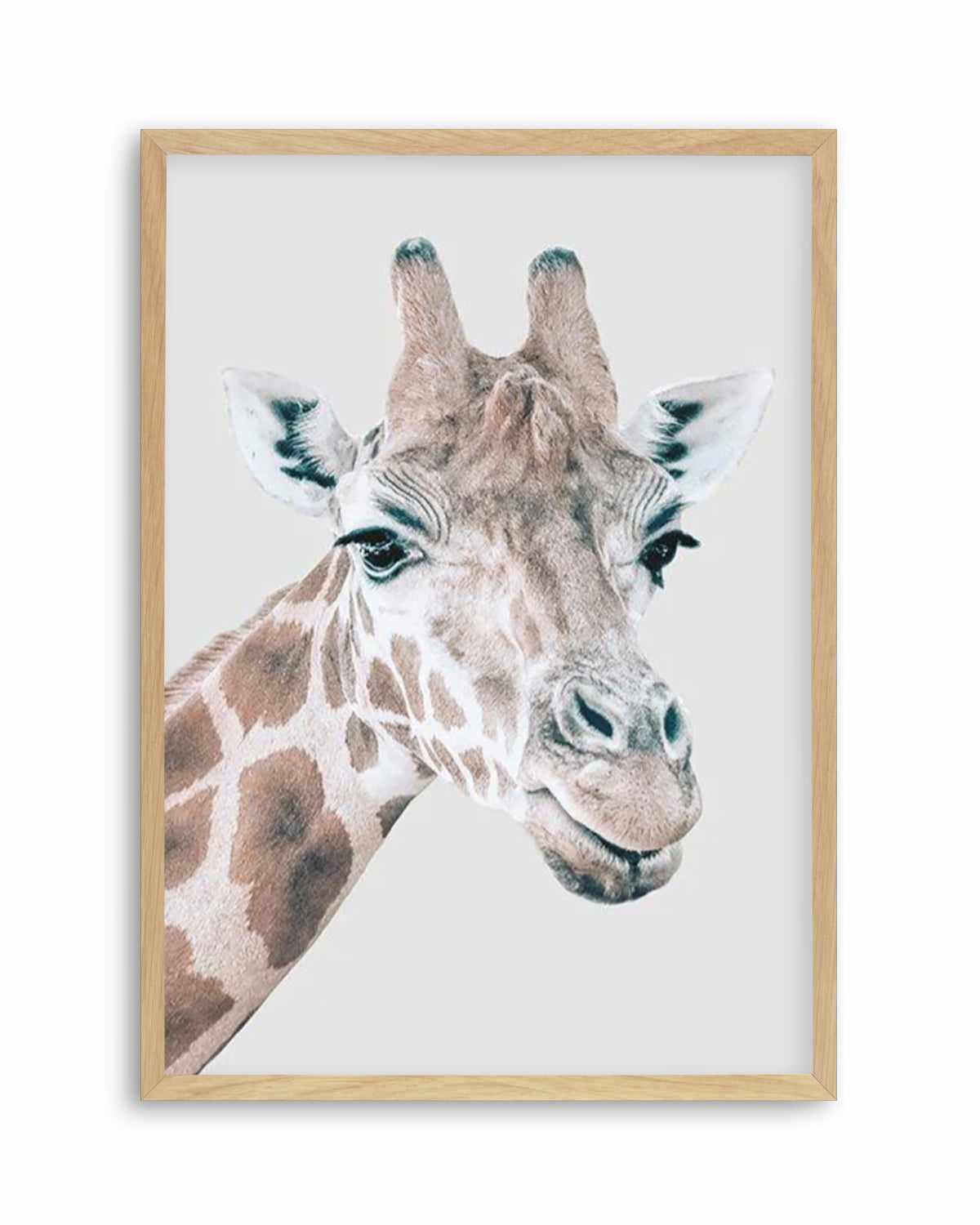 Giraffe | PT Art Print