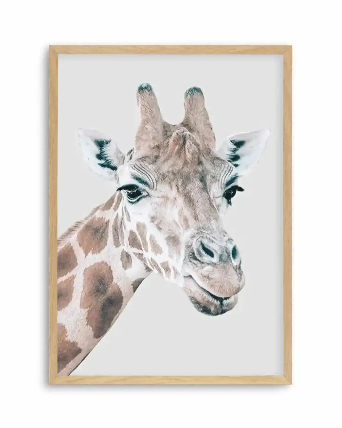 Giraffe | PT Art Print from Olive et Oriel where you can shop wallpaper and artworks online