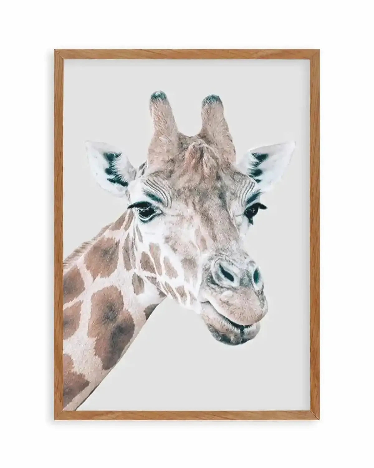 Giraffe | PT Art Print from Olive et Oriel where you can shop wallpaper and artworks online