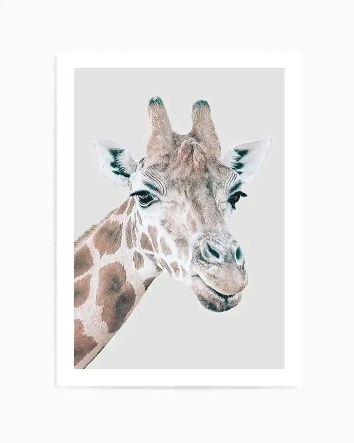 Giraffe | PT Art Print from Olive et Oriel where you can shop wallpaper and artworks online