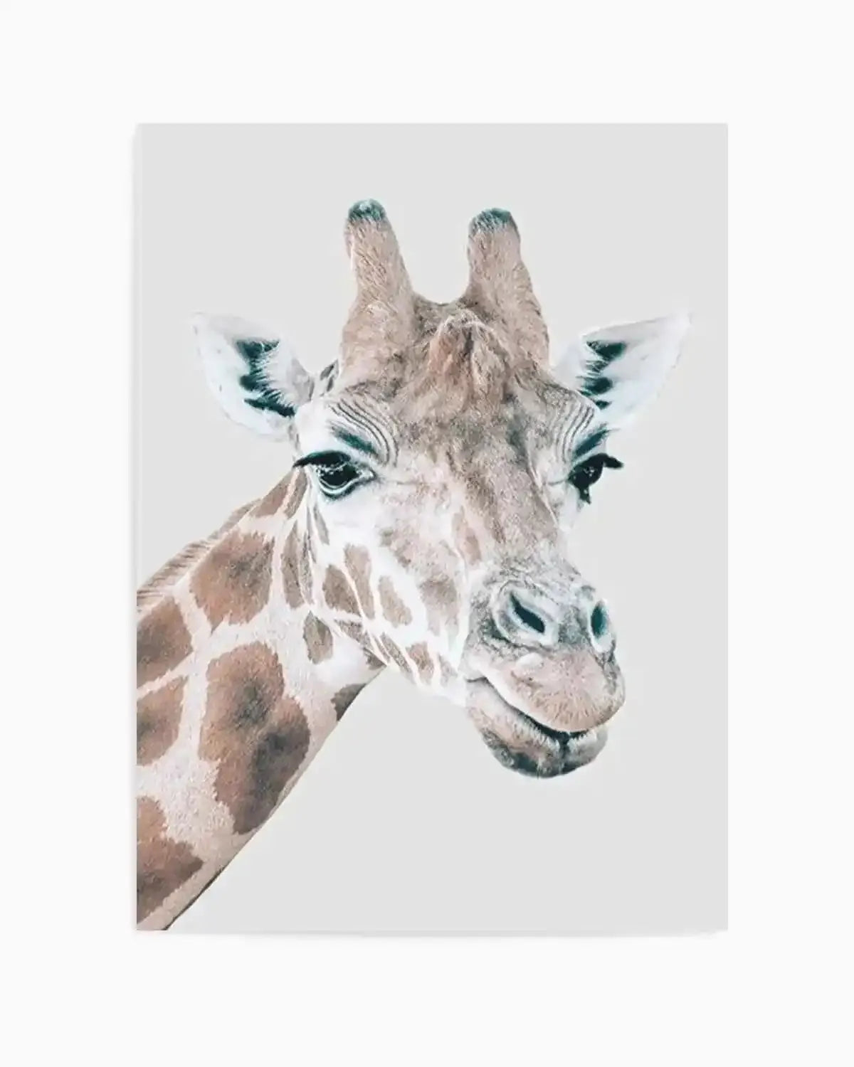Giraffe | PT Art Print from Olive et Oriel where you can shop wallpaper and artworks online