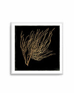 Gold Coral I Art Print