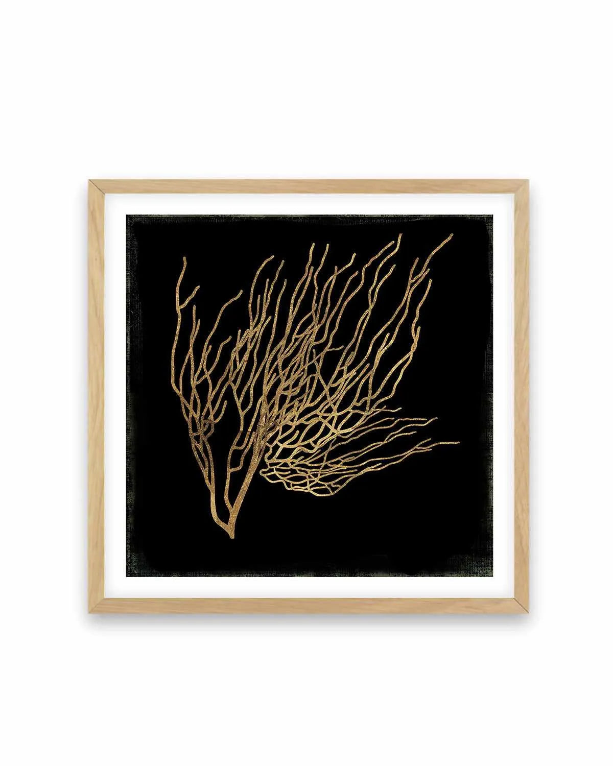 Gold Coral I Art Print from Olive et Oriel where you can shop wallpaper and artworks online