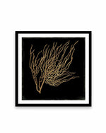 Gold Coral I Art Print