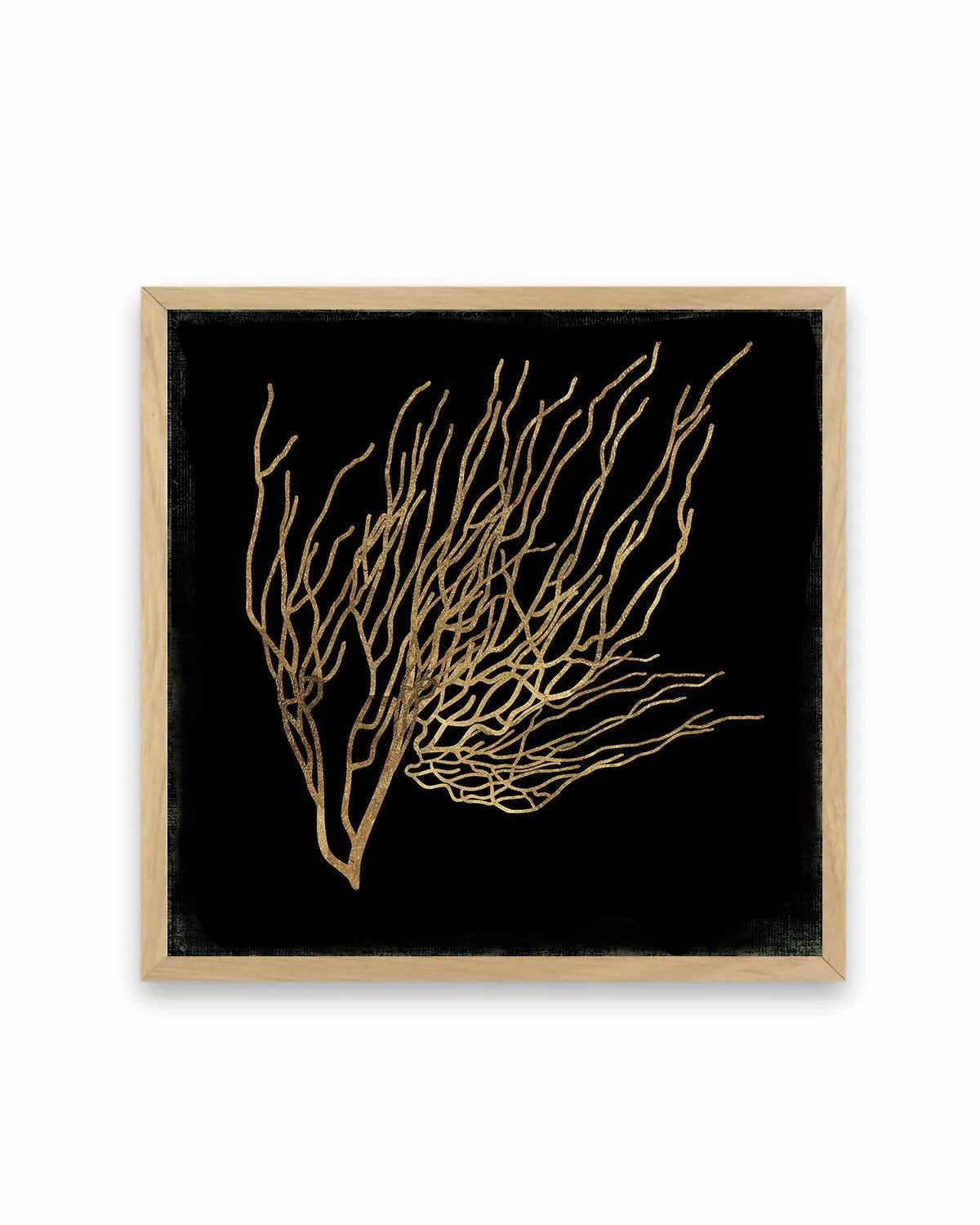 Gold Coral I Art Print from Olive et Oriel where you can shop wallpaper and artworks online