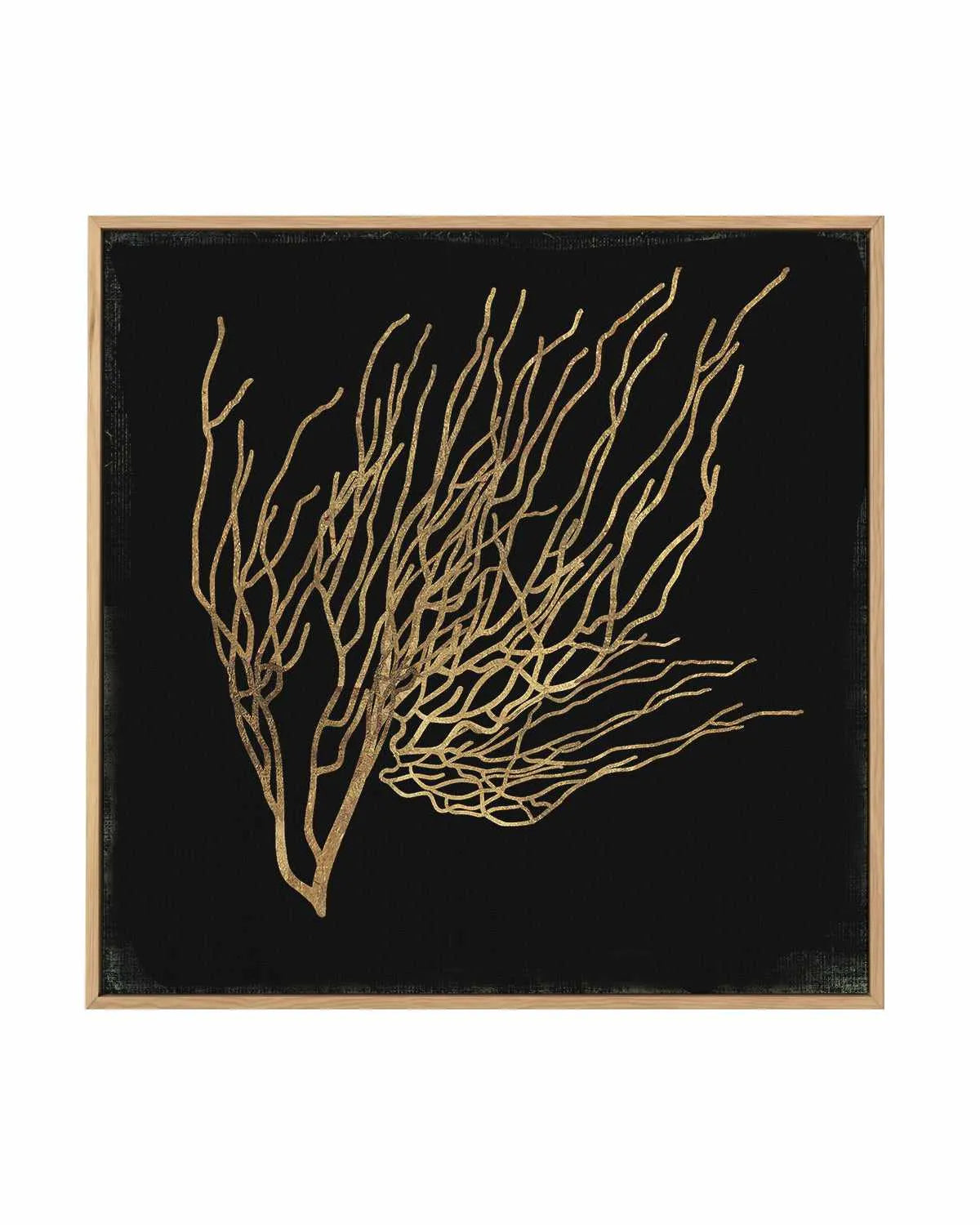 Gold Coral I | Framed Canvas Art Print from Olive et Oriel where you can shop wallpaper and artworks online