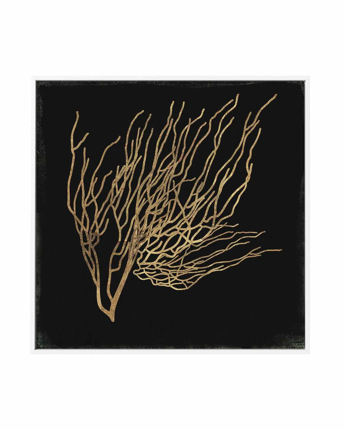 Gold Coral I | Framed Canvas Art Print from Olive et Oriel where you can shop wallpaper and artworks online