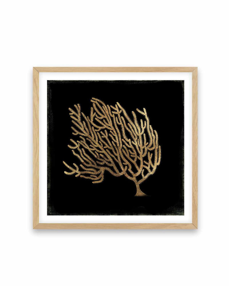 Gold Coral II Art Print