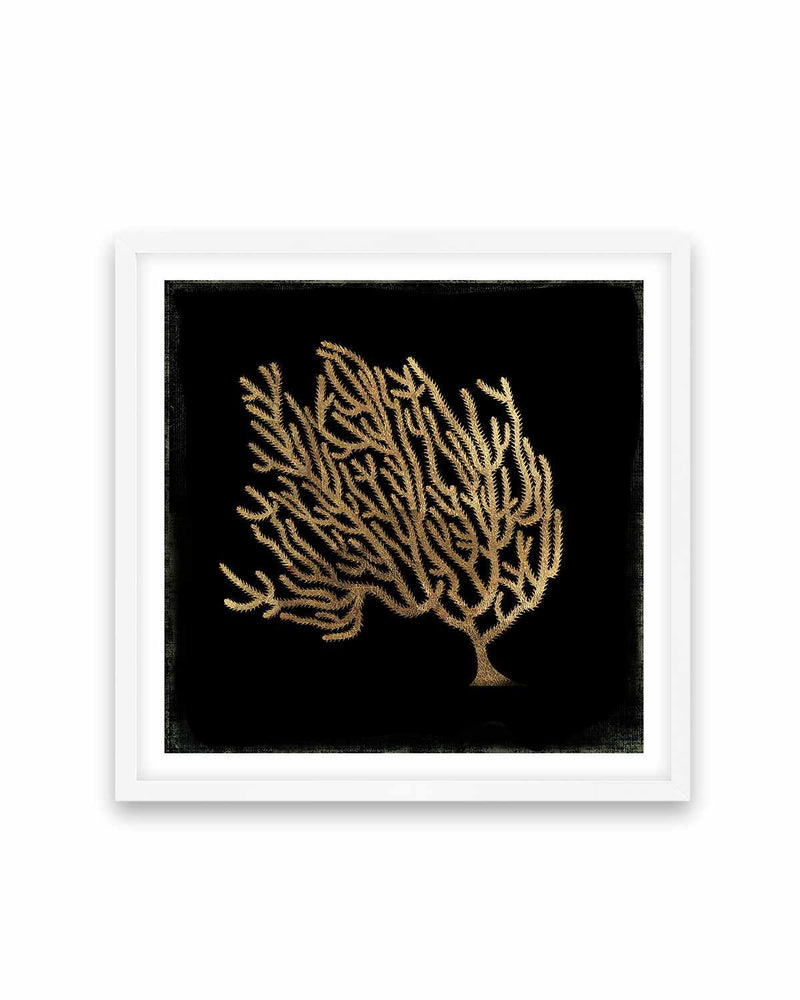 Gold Coral II Art Print