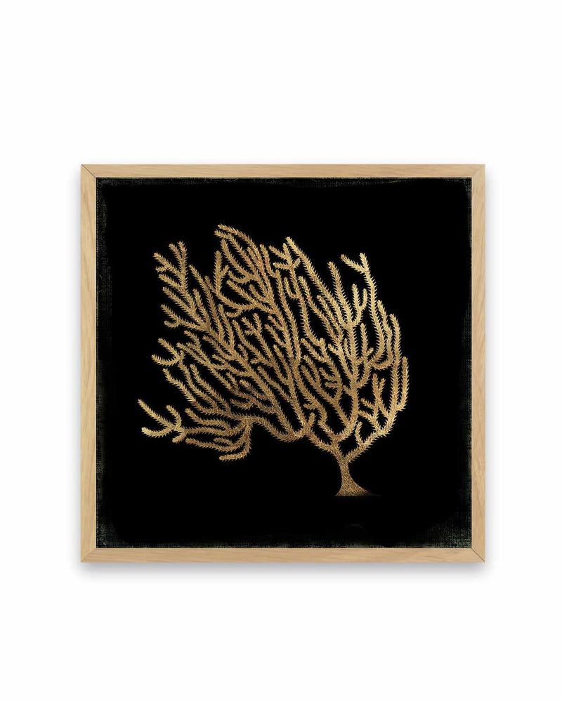 Gold Coral II Art Print