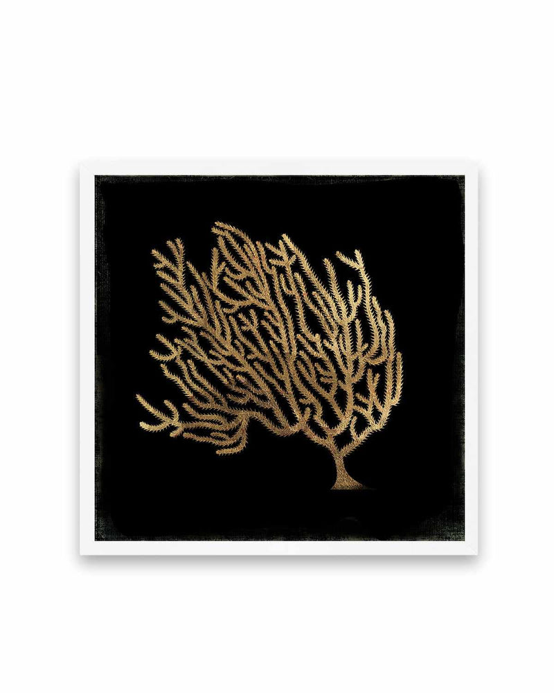 Gold Coral II Art Print