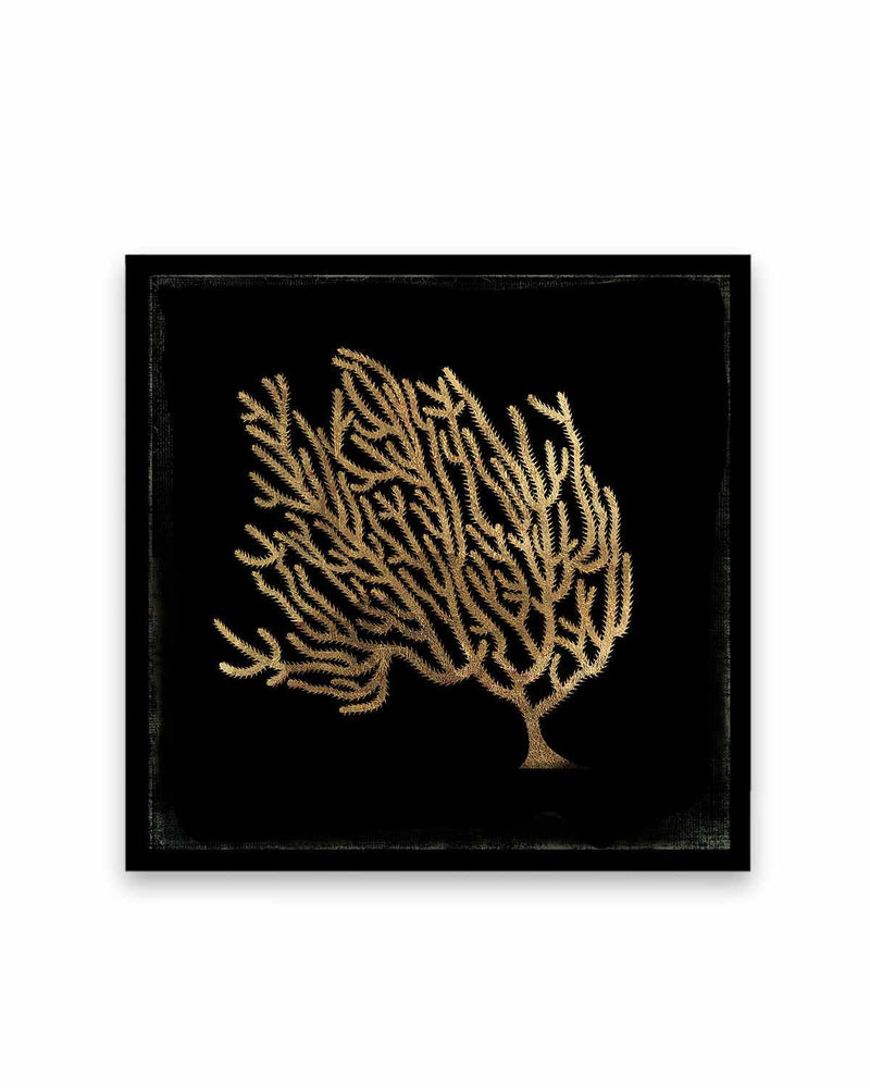 Gold Coral II Art Print