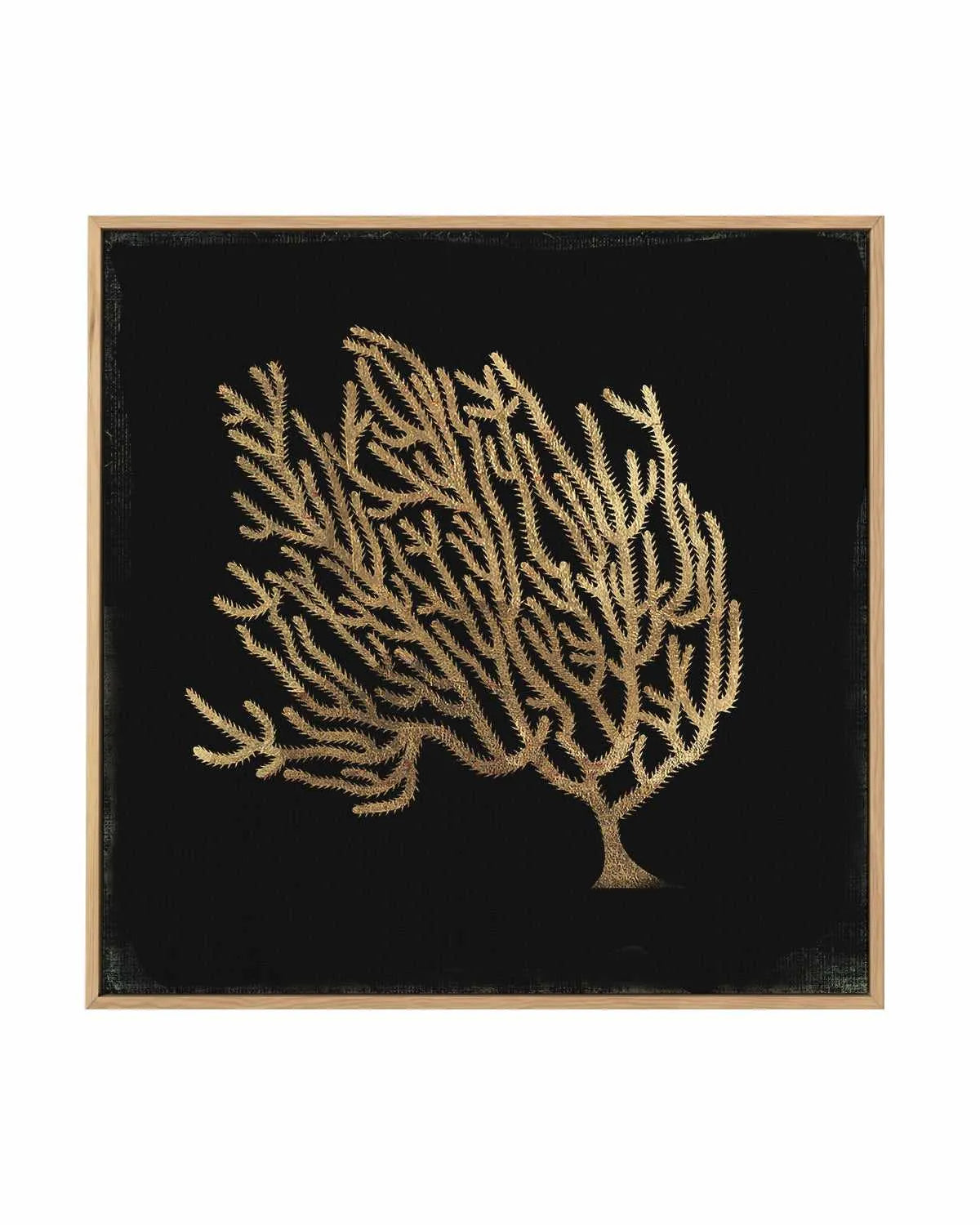Gold Coral II | Framed Canvas Art Print from Olive et Oriel where you can shop wallpaper and artworks online