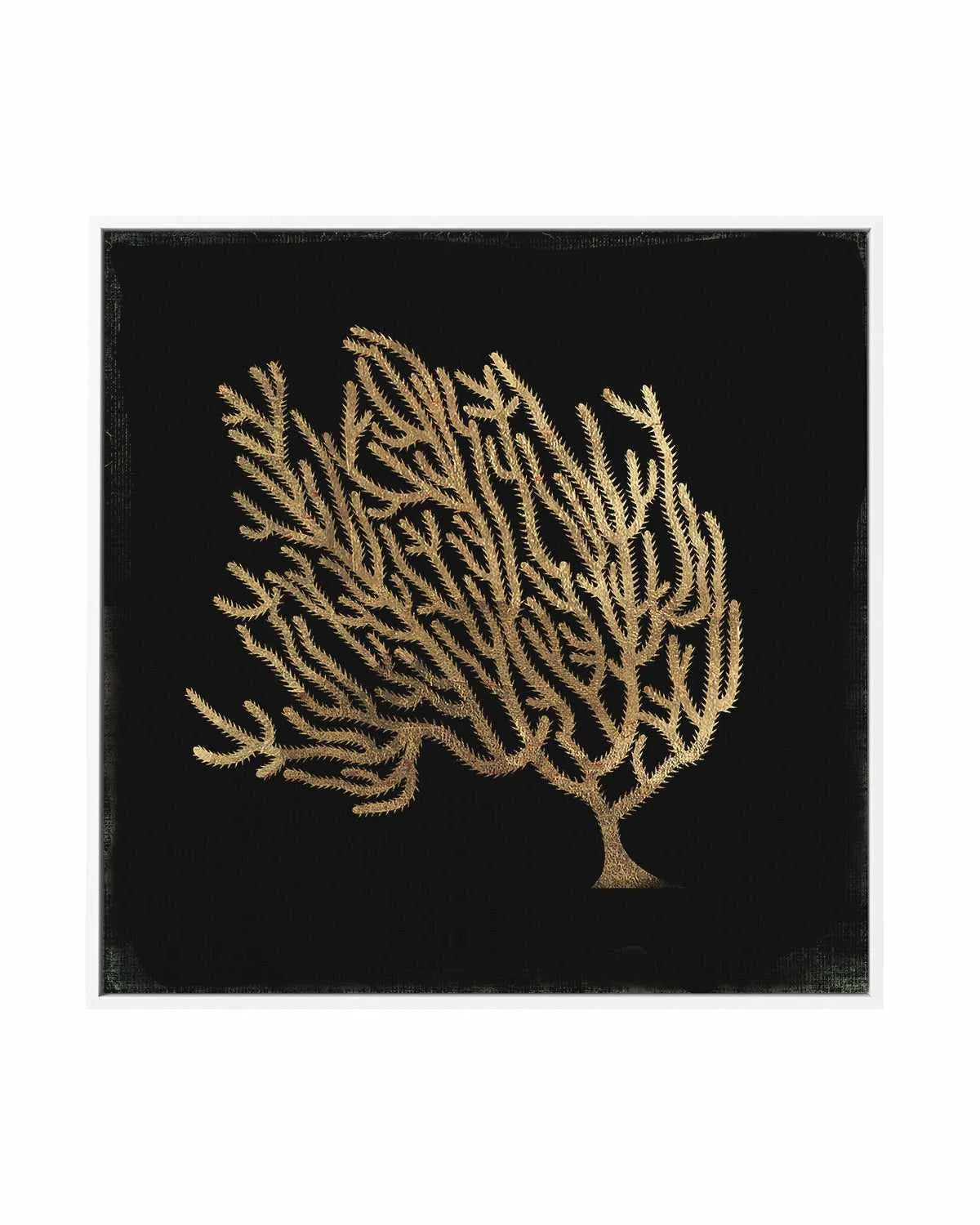 Gold Coral II | Framed Canvas Art Print from Olive et Oriel where you can shop wallpaper and artworks online