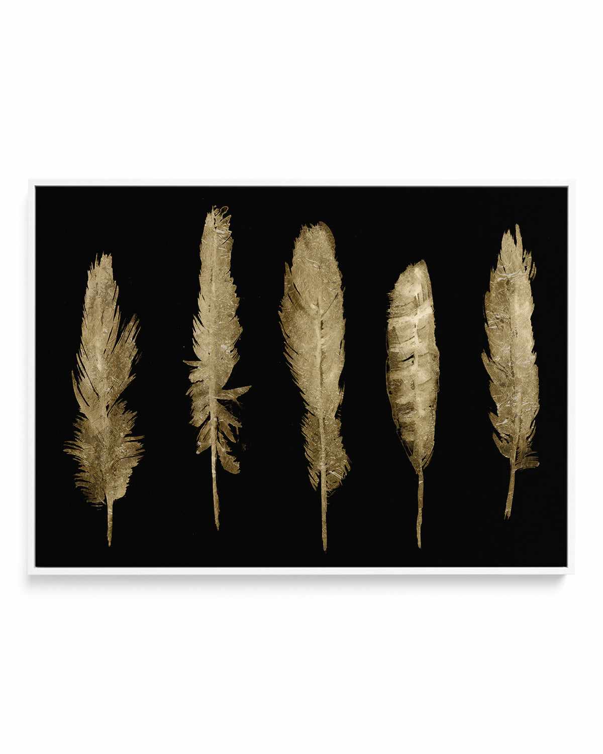 Gold Feathers II | Framed Canvas Art Print